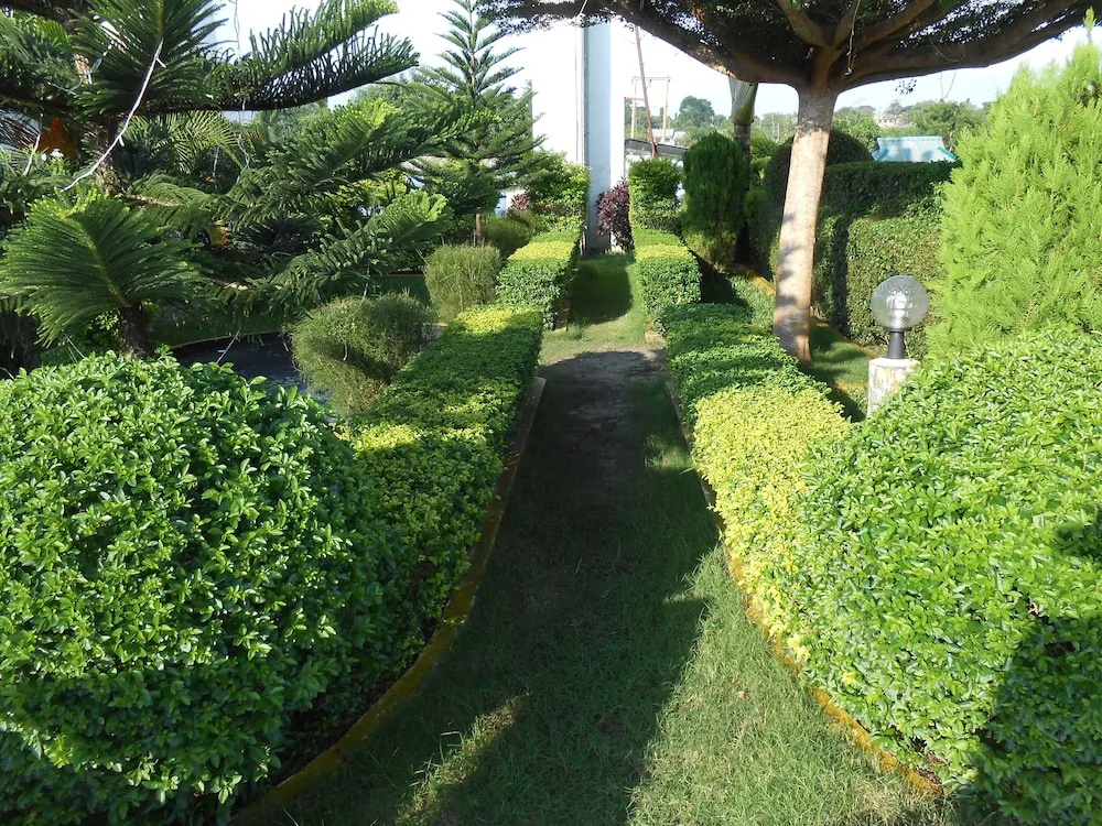 Hotel photo 28