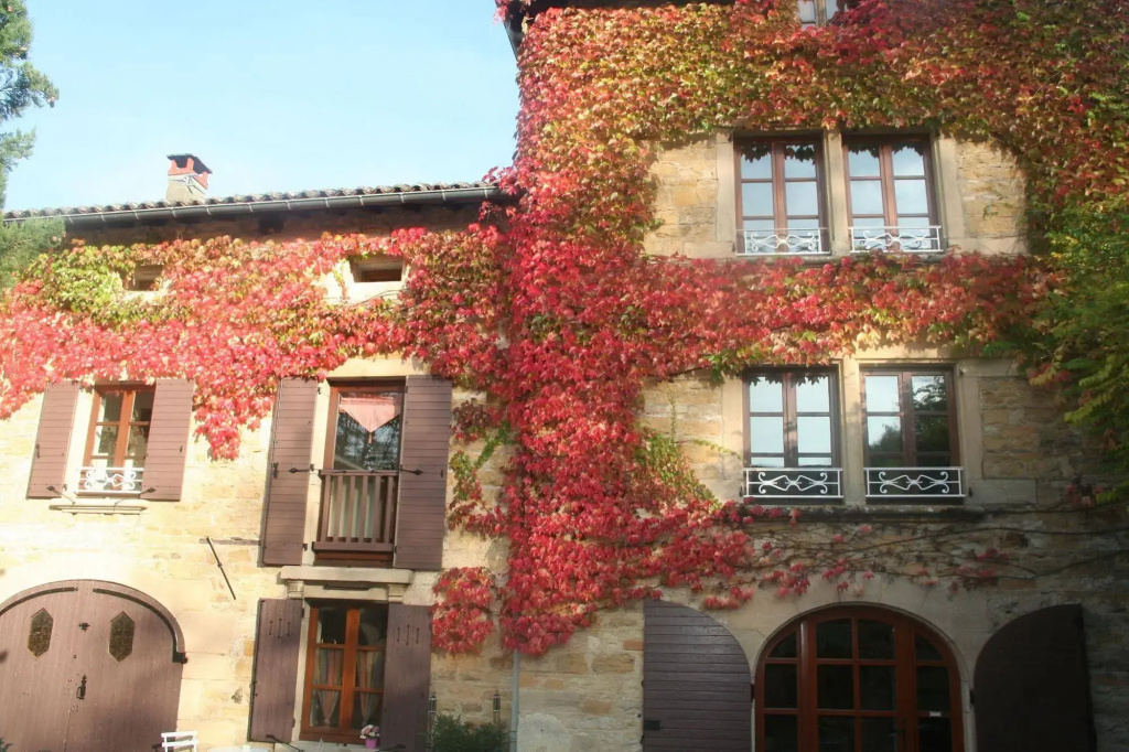 L'Aube du Moulin
