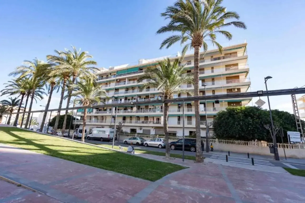 Apartamento Gallo Rojo