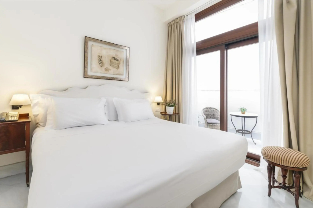 Hotel Amadeus Sevilla - Général