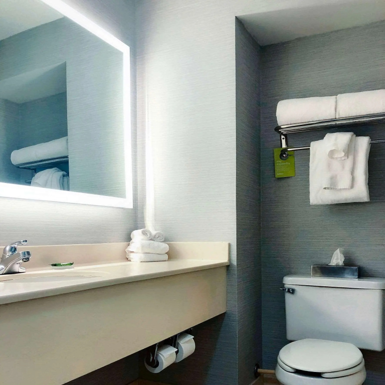 Radisson Hotel Niagara Falls-Grand Island - Général