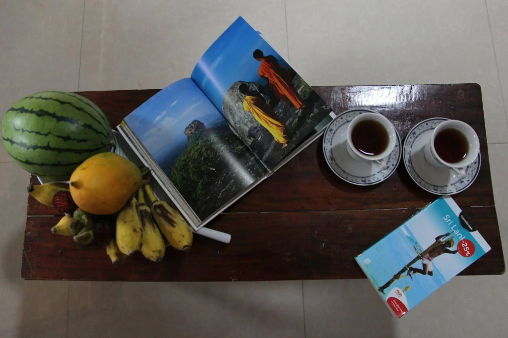 Shan Inn Dambulla - фото 8