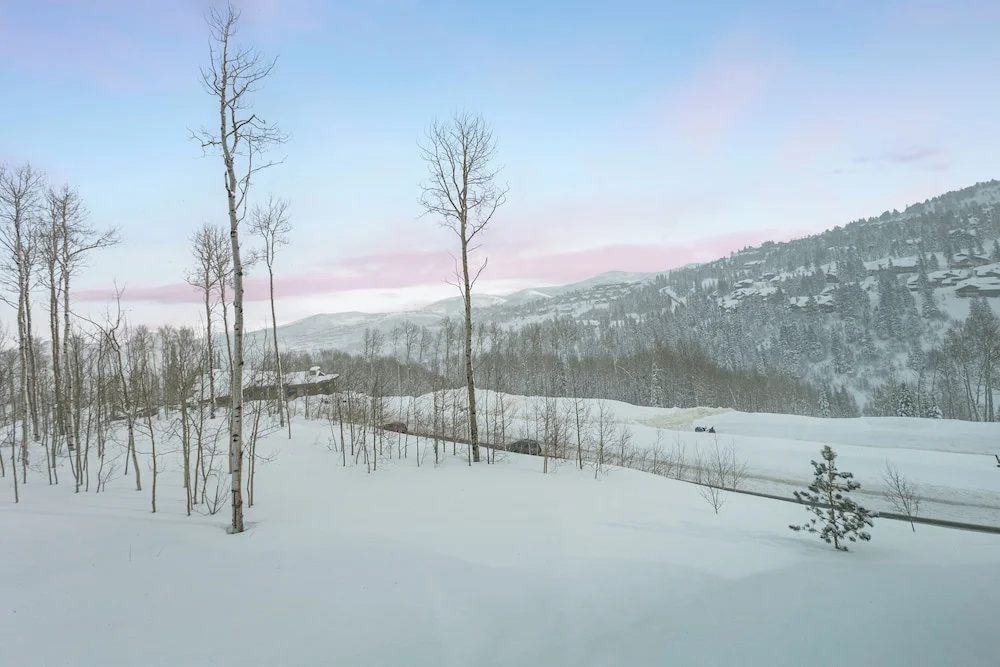 Argent at Deer Valley Resort - Three Bedroom Deluxe #205 3 Condo