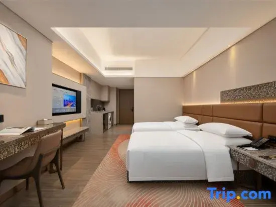 Superior Double room with city view (twin beds)