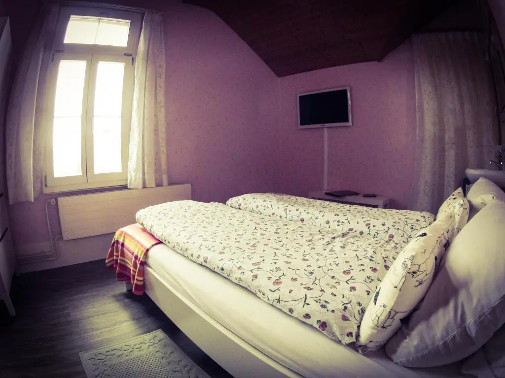 Standard Double room (full double bed)