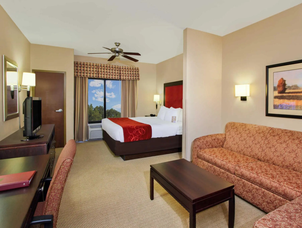 1 Bedroom Suite