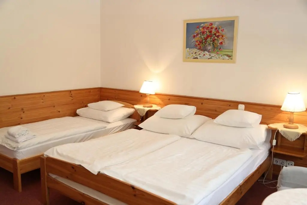 Hajdú Kastély Hotel - Chambres