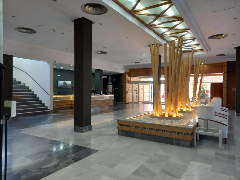 Hotel TRH La Motilla - Général