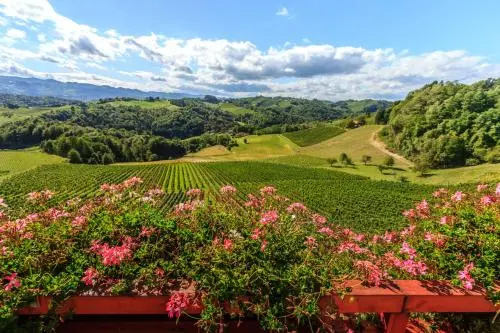 Farm Stay Jarc Vineyard