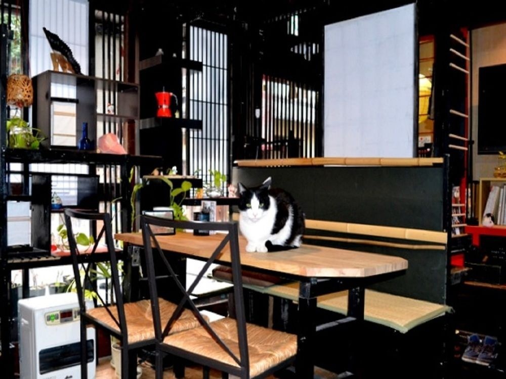 Kyoto Gion KIRAKU-INN - Hostel 사진 23