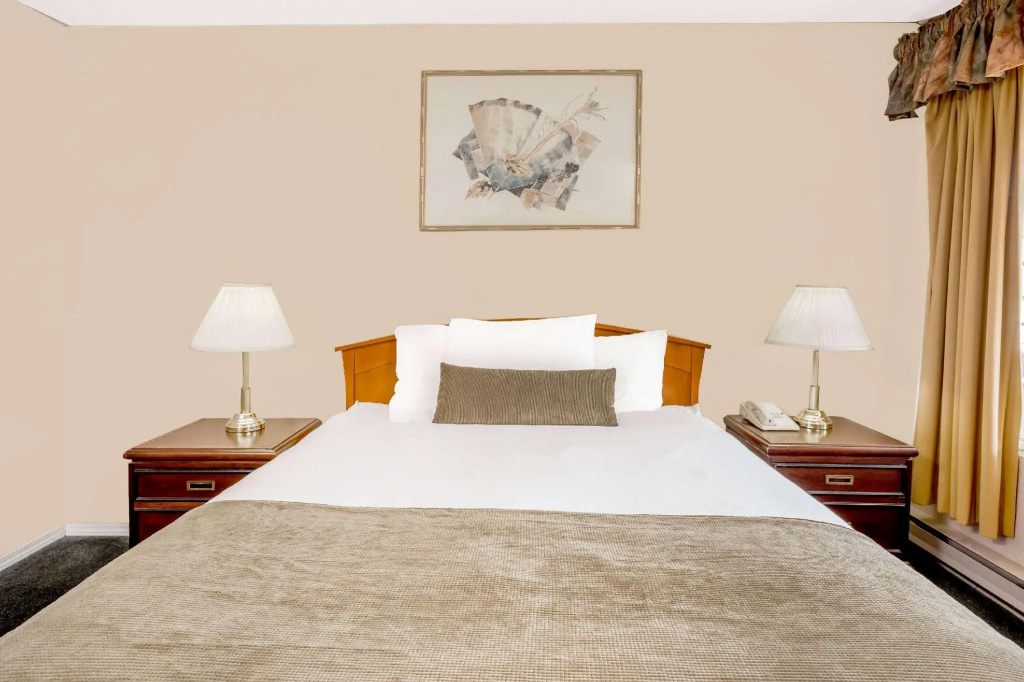 Standard Double room (full double bed)