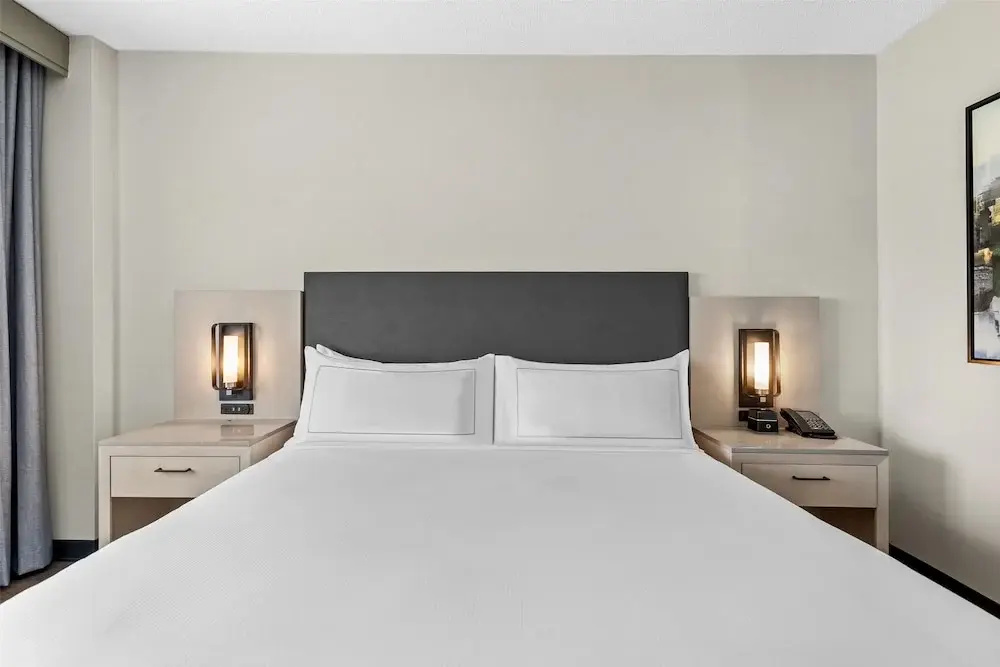 DoubleTree Suites by Hilton Raleigh - Durham - Chambres