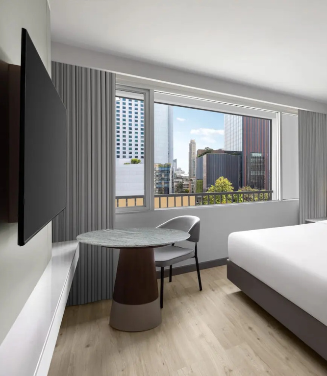 Deluxe Double room with city view (full double bed)