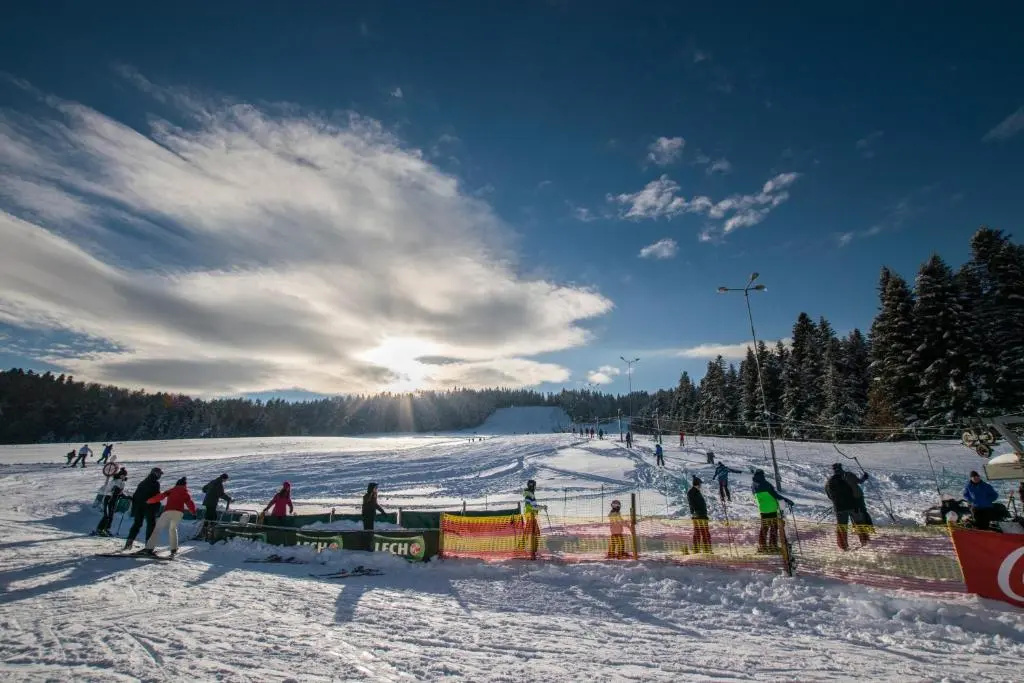 Chaty Lesko-Ski