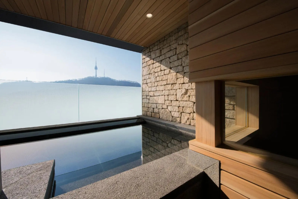 ibis Styles Ambassador Seoul Myeongdong - Général