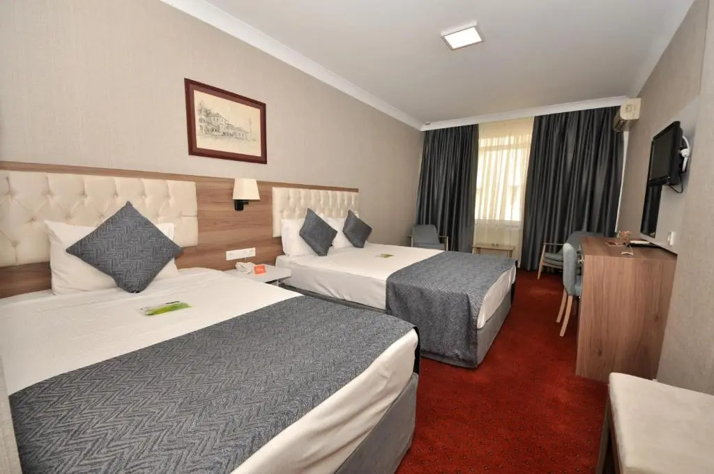 Deluxe Double room (twin beds)