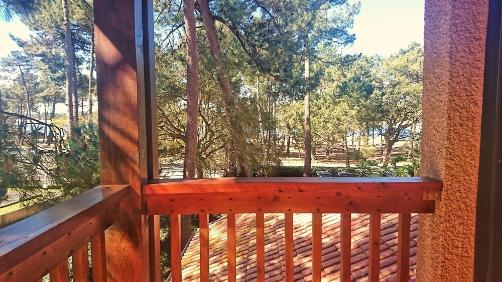 Balcony & Terrace