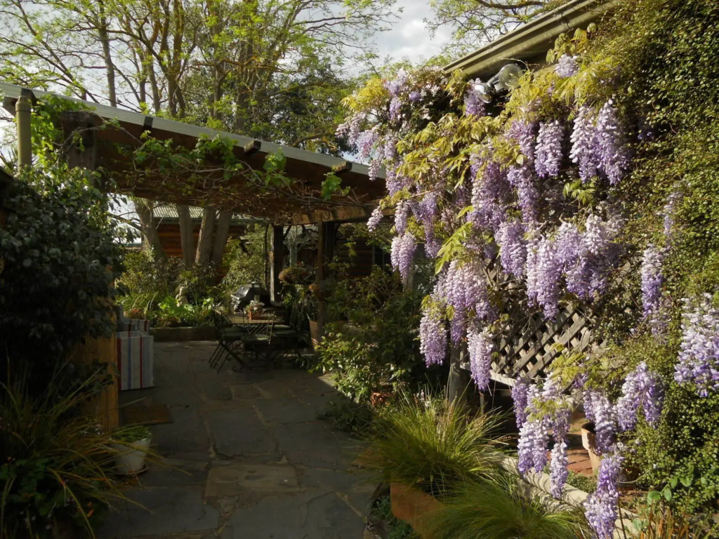 Rosebank Bed and Breakfast - Général