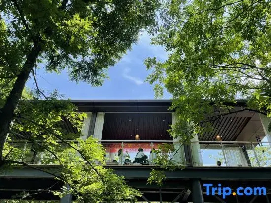 Qingsu Qingcheng private Tang forest