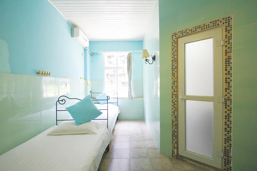 Standard Double room (twin beds)