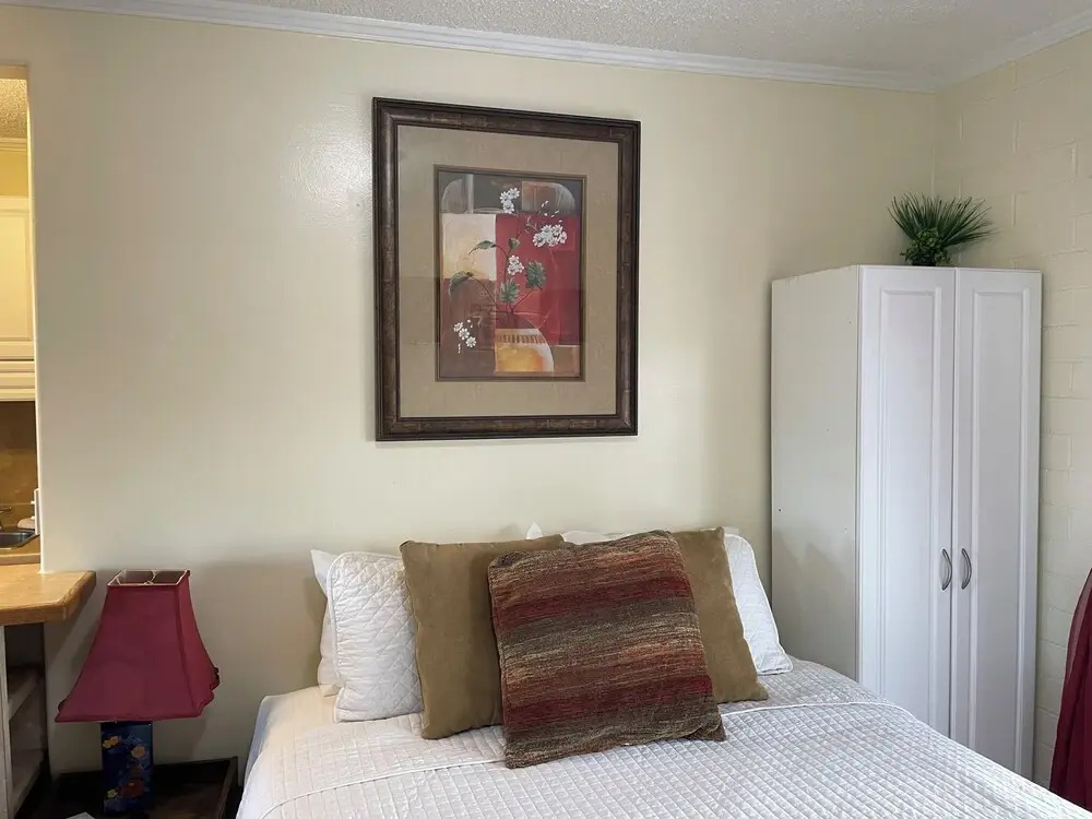 Standard Double room with mountain view (full double bed)