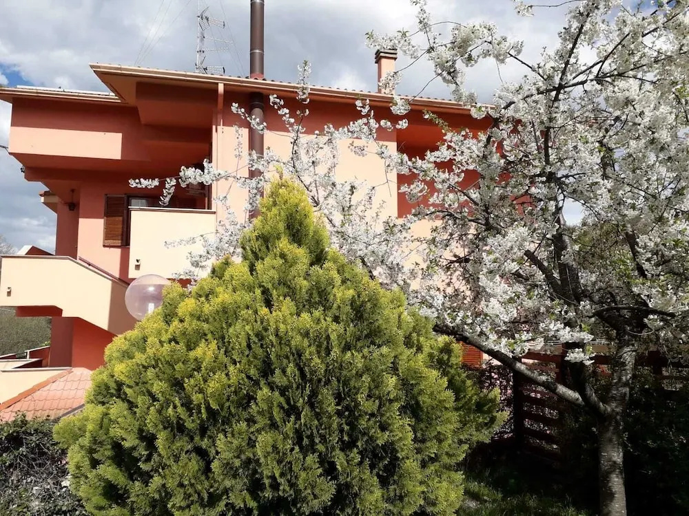 Notti Rosa B&B