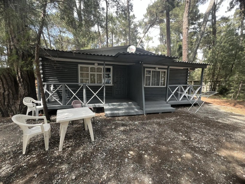 Gosdacha Ldzaa
