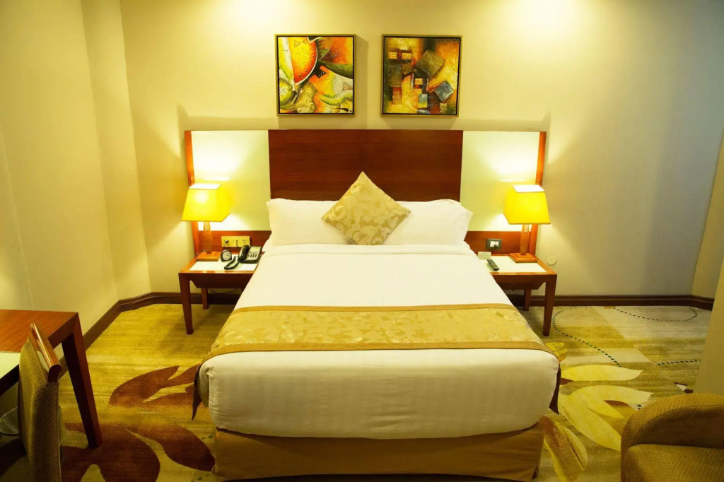 Jupiter International Hotel Bole - Général