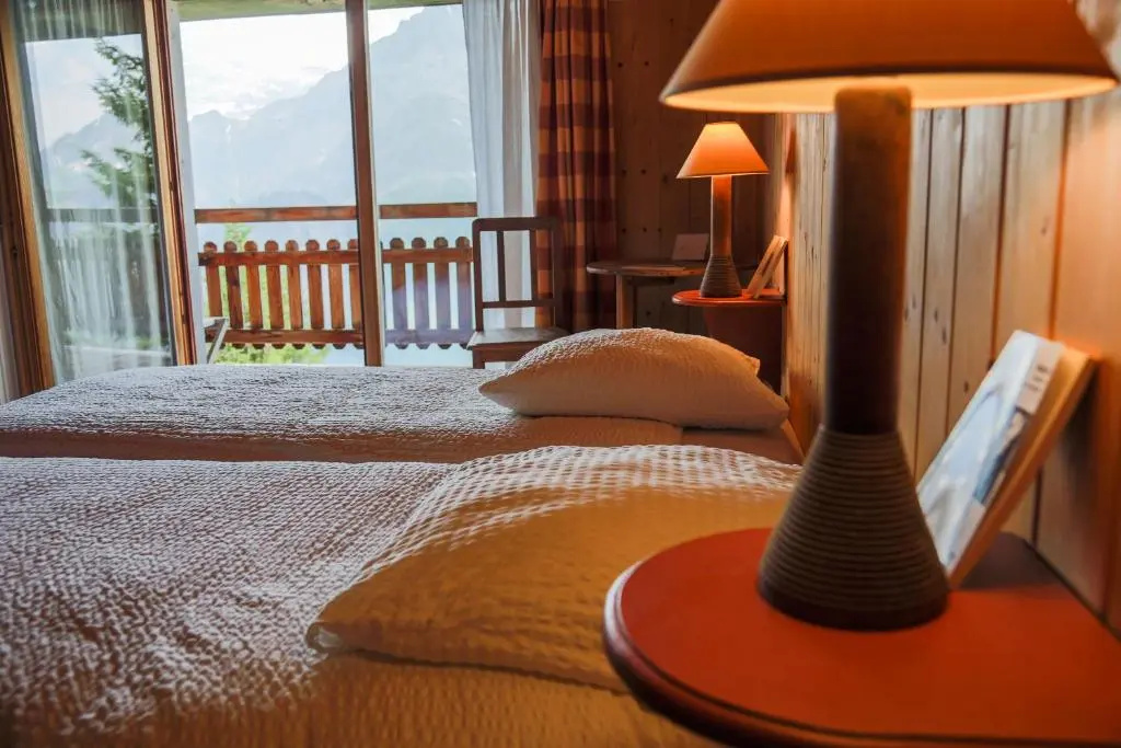 Standard Double room with mountain view (full double bed)