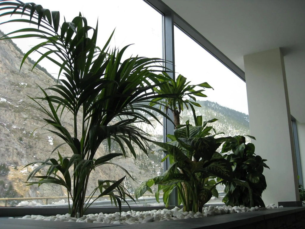 Hotel Obaga Blanca - фото 26