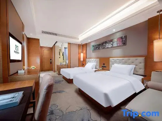 Jin-Tone 101 Hotel Nanning - Chambres