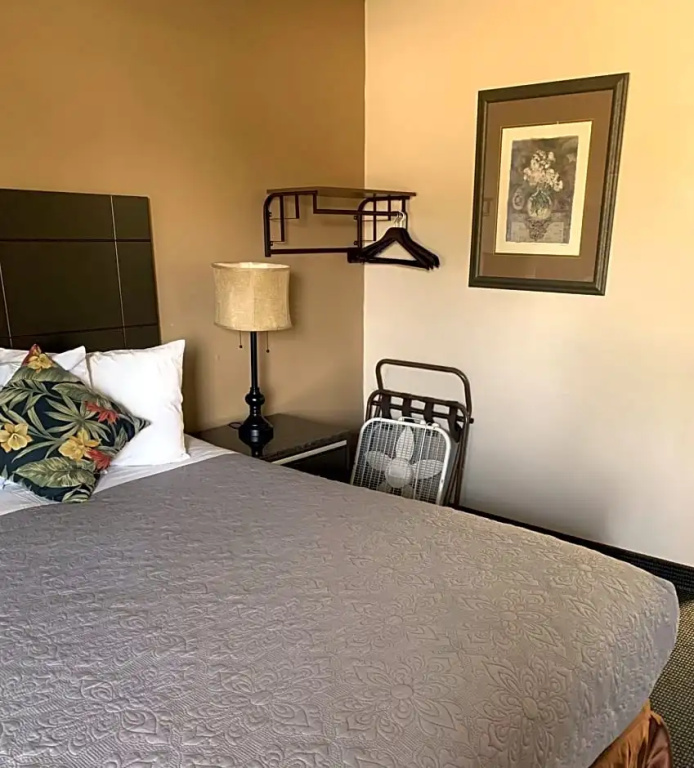Standard Double room (full double bed)
