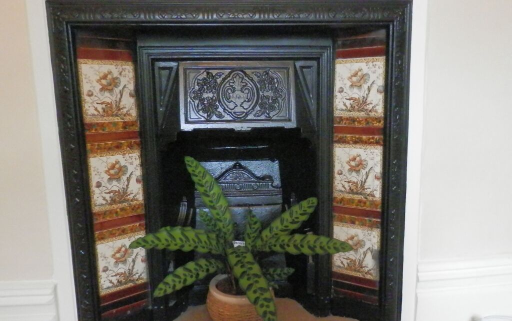 Image 11