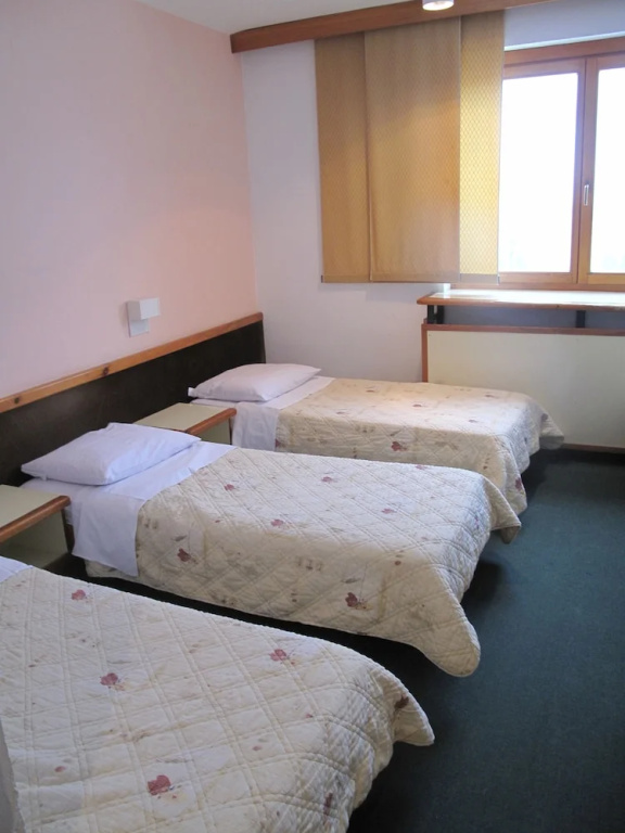 Bat Hotel Bistrica - Chambres