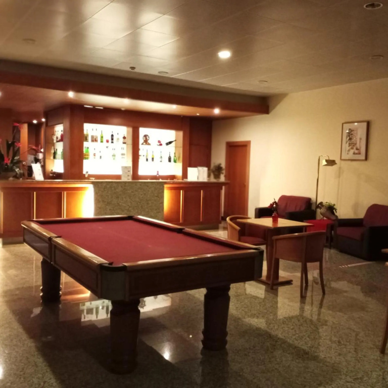 Palace Hotel & Spa Monte Rio - Général