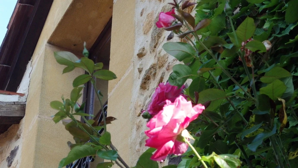 Bouillatou