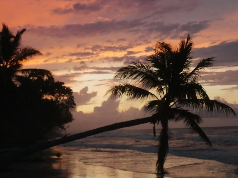 Las Canas Beach Retreat - Général