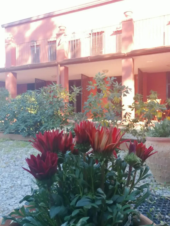 Hotel photo 45