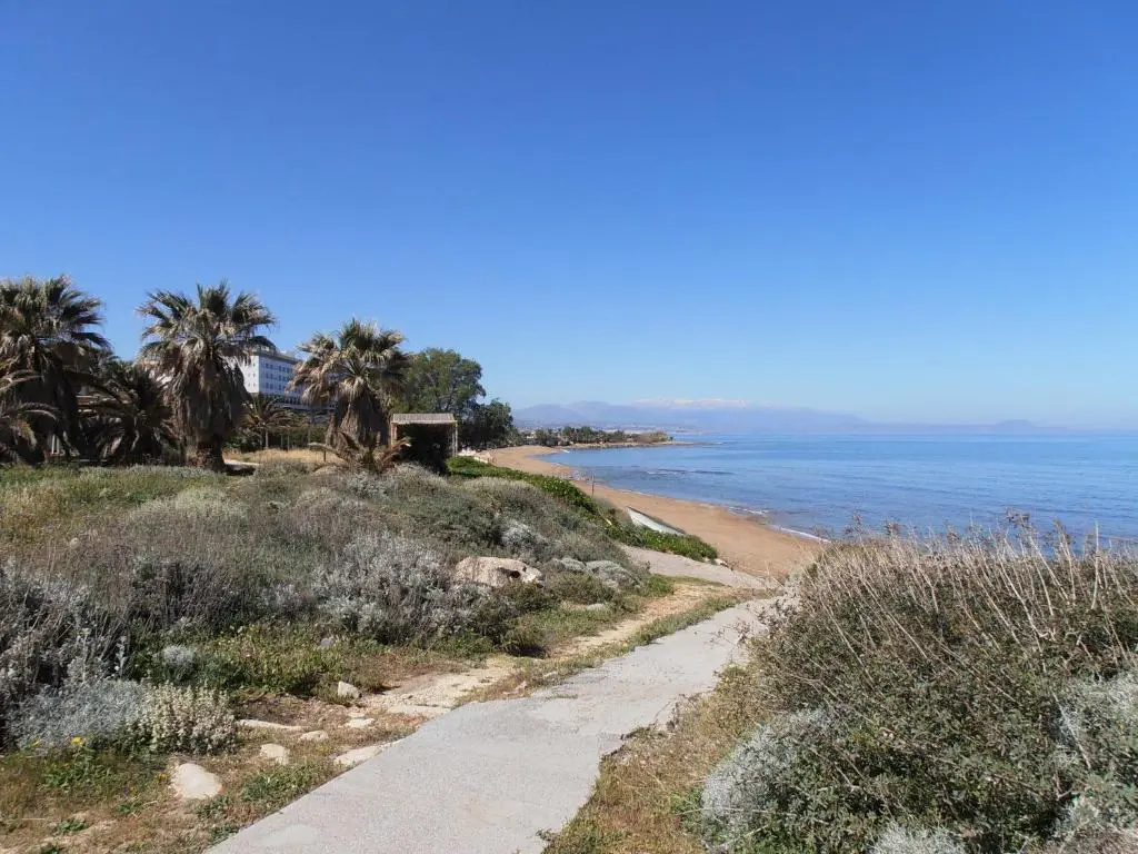 Beach & Waterfront