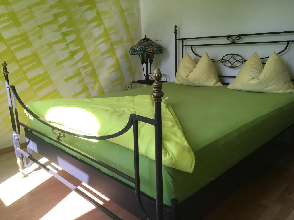 Standard Double room with lake view (full double bed)