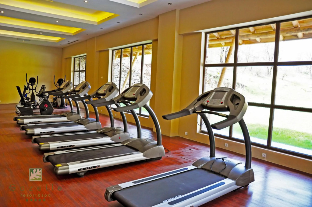 Gazelle Resort & Spa - фото 26
