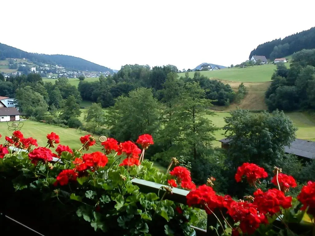 Waldblick - Chambres
