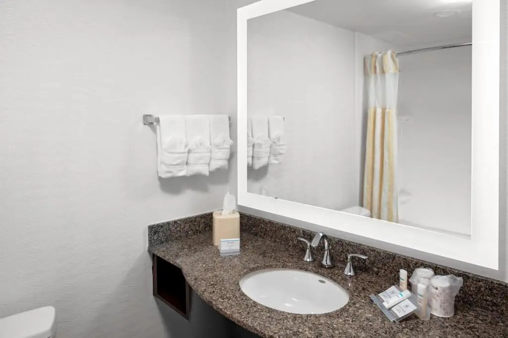 Hilton Garden Inn Atlanta Perimeter Center - Chambres