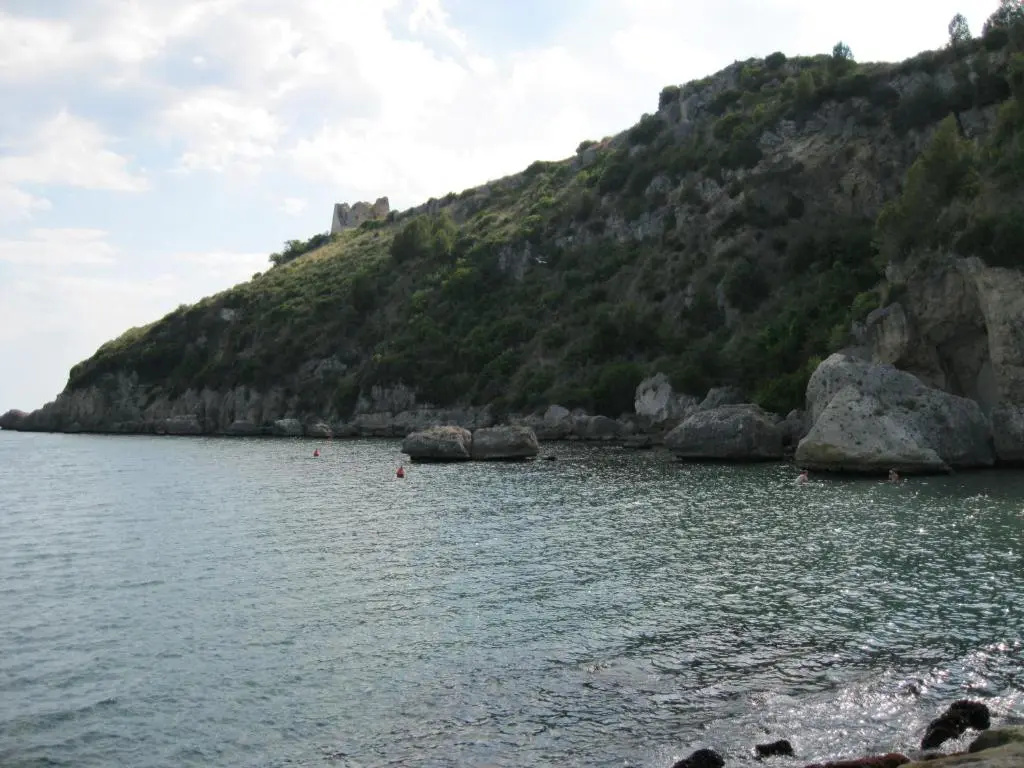 "Il nespolo"