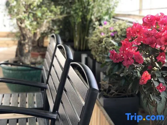 Balcony & Terrace