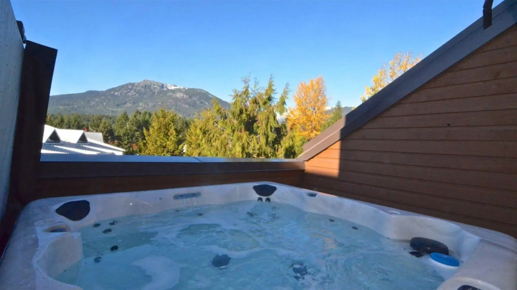 Whistler Luxury Condos - фото 19