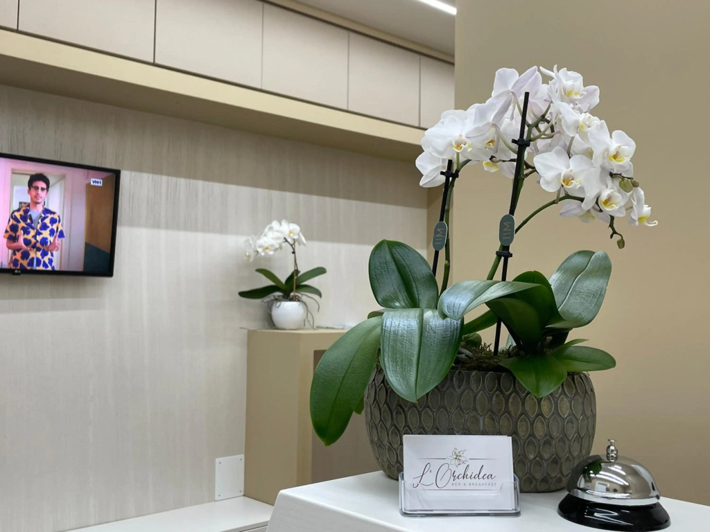 apartmentpicture