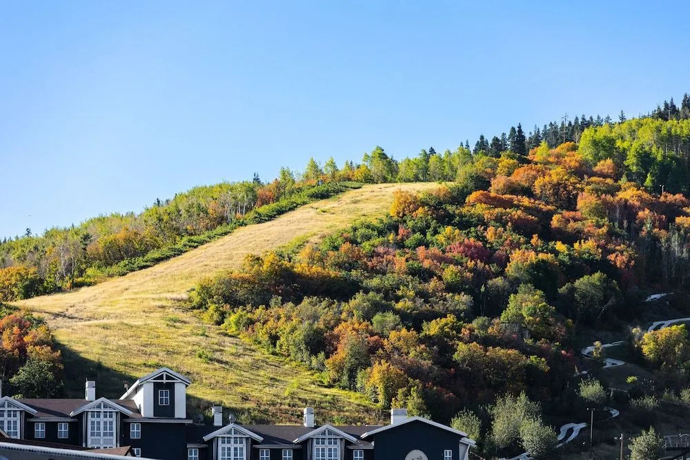 Park City Paradise