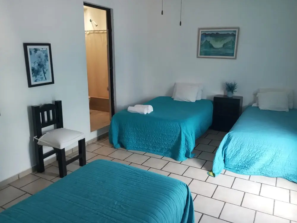 Classic Apartment