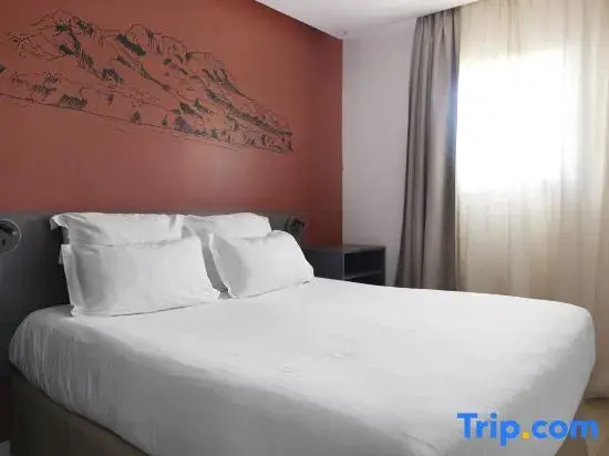 Bed in Dorm (full double bed)